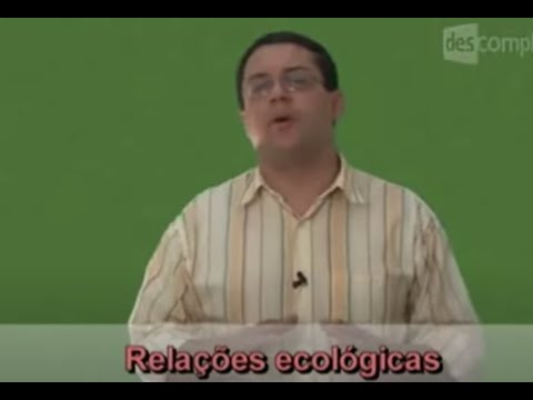 Imagem de Amostra do You Tube