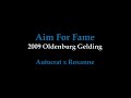 Aim For Fame: 2009 Oldenburg colt by Autocrat For Sale
