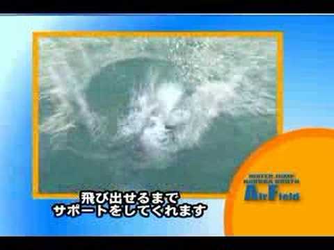 エアフィールド プロモーション