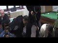 Faiby - new album 2008 (POLICIE!!!)