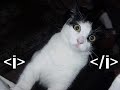 Caturday XI