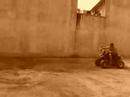 willi dietz Quad