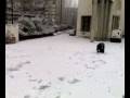 videos de 09012009189