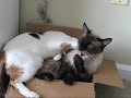 What happens in the box, stays in the box