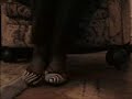 lindos Zapatitos