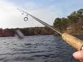 How to loose a Pickerel