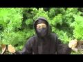 The Ninja Glare (nighiga)