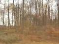 videos de Michigan Trip