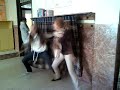 dio to loca, el homo habilis