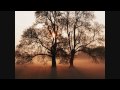 En Espiritu y En Verdad - Has Vencido Has Triunfado - Rey de Misericordia (Espontaneo)