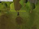 Rs2 Hand fishing