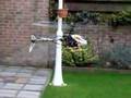 Align Trex 450 S Radix 2e Test Flight