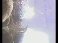 ztg