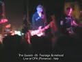 the queers - teenage bonehead