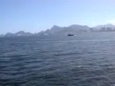 Travessia de barca de Niter�i para o Rio
