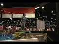 American   Pit   Bull  terrier in jumping competition