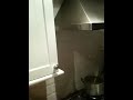 IMG_0285.MOV