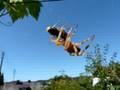 Im Spinnennetz