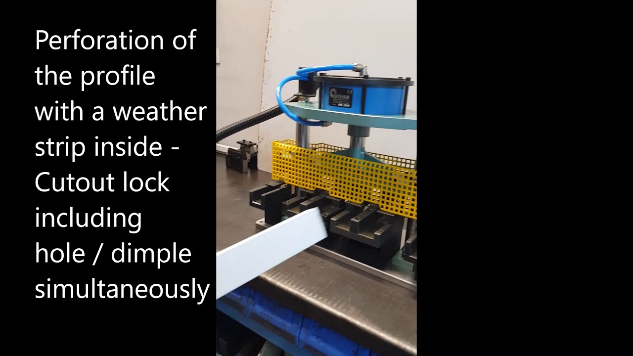 Vinyl Punch Tool With Weather Strip