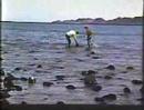 Baja California 1952