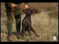 Assistir ao v�deo