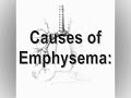 Bio 12 (gr11) Project - Emphysema
