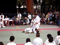 Wong Karate-Do em Defesa Pessoal Shorin-Ryu Shin Shu Kan