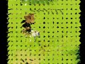 Mission Dofus 1