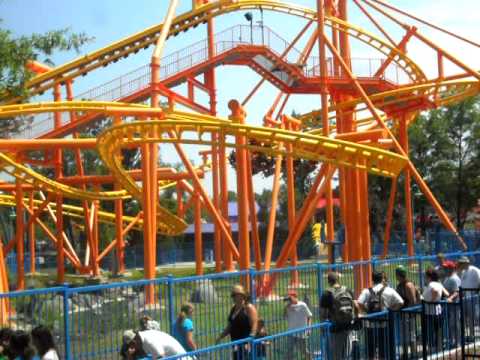 I Am Afraid Of Snoopy but Betsy Has No Fear