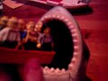 shark attack