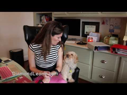 how to organize paperwork