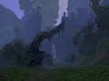 Age Of Conan Tortage zone fly thru Pvp Weekend Age Of Conan Tortage zone fly thru Pvp Weekend