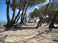 Dominicaans 01