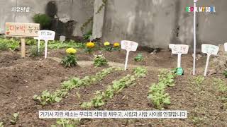 제14회 서울도시농업박람회 주제영상 썸네일