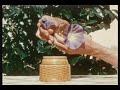 Les mains du poète Les mains du poète