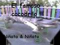 videos de Niñatos