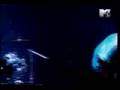 Peyote Asesino - Mal de la Cabeza