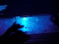 shadow puppets part two