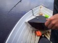 1e Snoek Vakantie Zweden 1e Snoek Vakantie Zweden