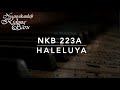 NKB 223a