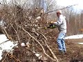 Day Two of the Raw Model Permaculture Project