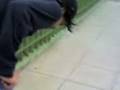 21-11-08_1816.3gp