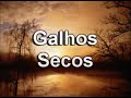 Galhos secos.wmv
