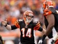 Bengals Clinch Wild Card Spot! Broncos Win AFC West, Raiders & Jets Eliminated? Who Will Win SB 46?