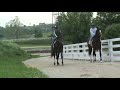Phosphorescent Breezes at Keeneland Phosphorescent Breezes at Keeneland