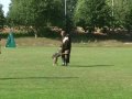 Maya LGA Schutzdienst