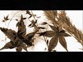 Emanuele Dabbono - Polvere di luna Emanuele Dabbono - Polvere di luna