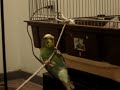 the best climber