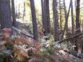 Nature Walk (15th Oct. 2008) 18