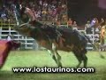 MONTA DE TOROS COSTA RICA LOS TAURINOS TORO EL TORMENTO MONTA DE TOROS COSTA RICA LOS TAURINOS TORO EL TORMENTO